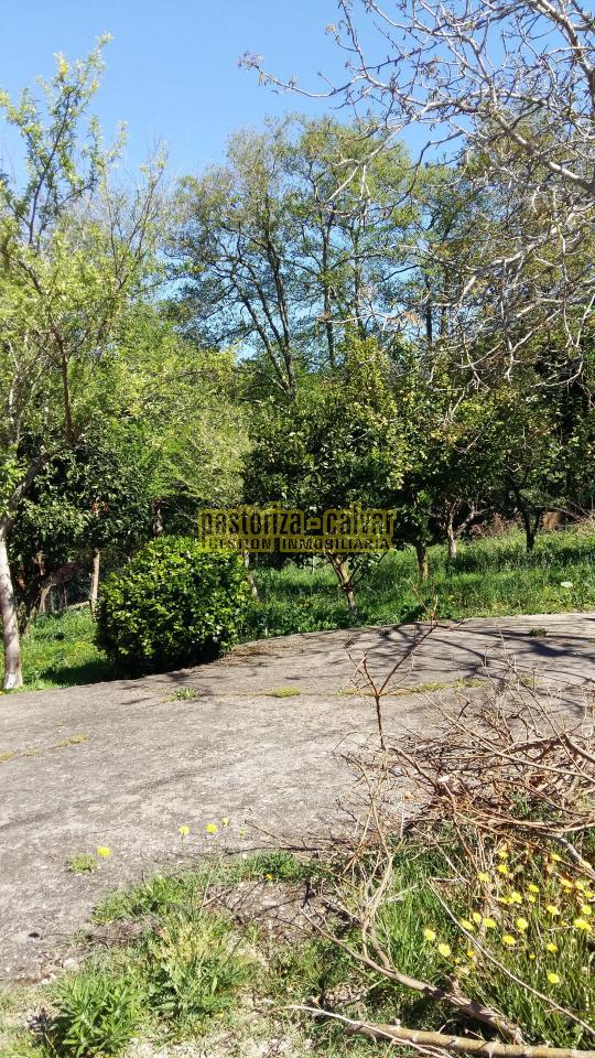 157737806900004028_15773778697 Parcela en Cangas