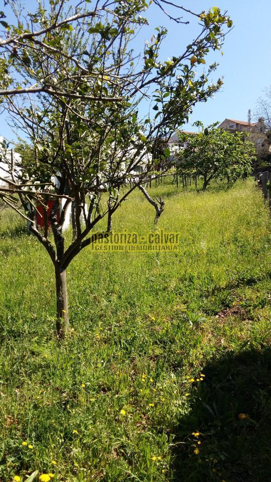 157737807700004028_15773778754 Parcela en Cangas
