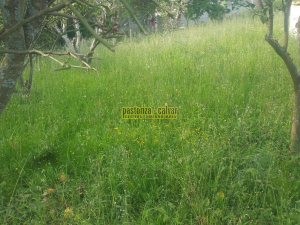 Parcela en Cangas