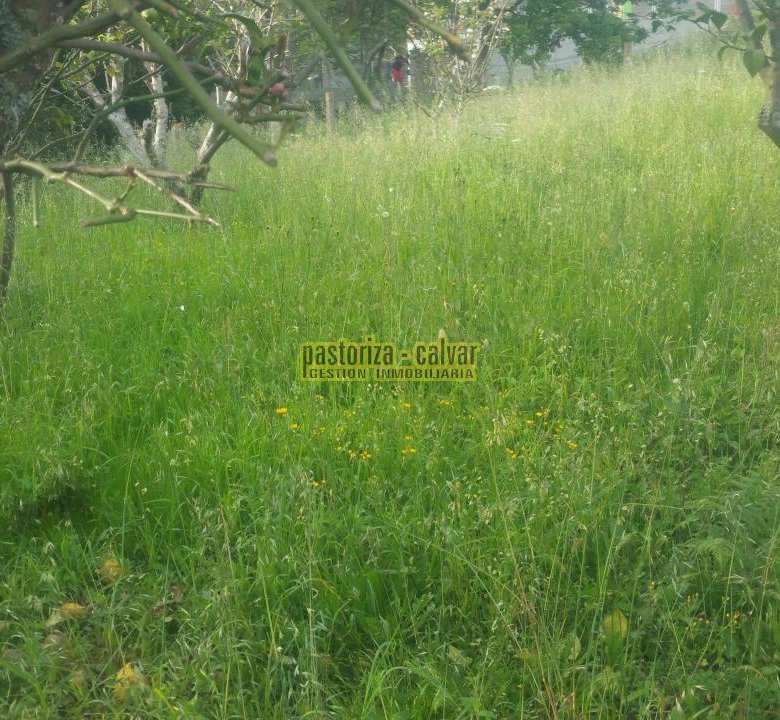 Parcela en Cangas