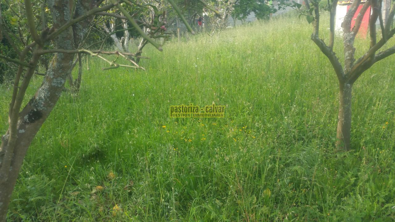 157737809300004028_15773778940 Parcela en Cangas