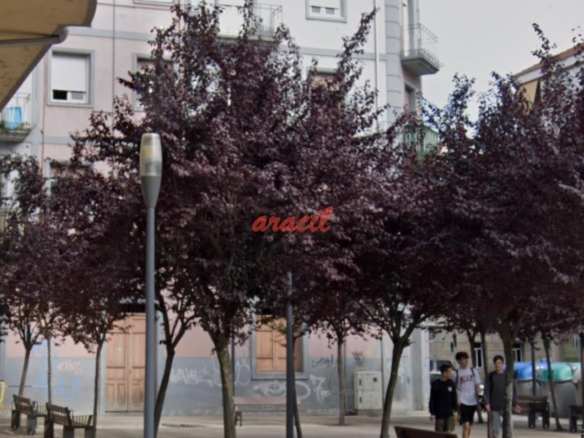 Local Comercial en Ourense