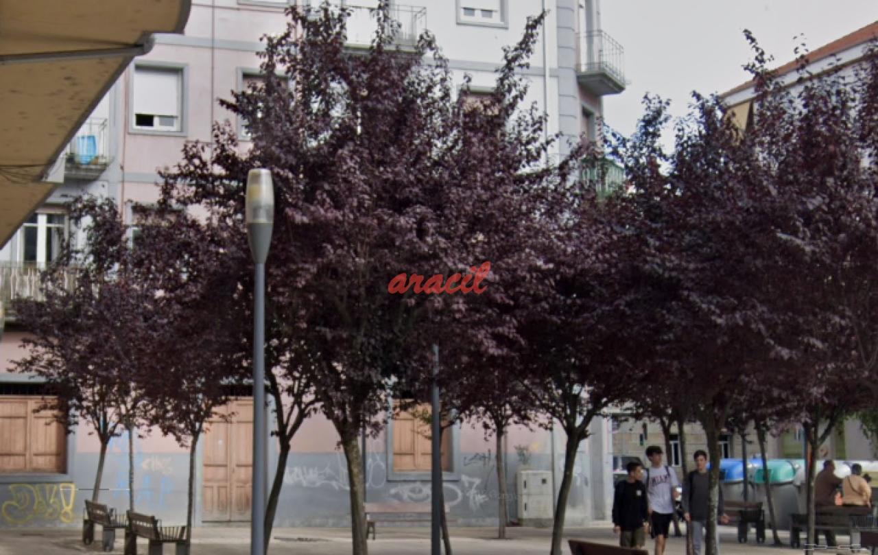 159307649300017132_15905109156 Local Comercial en Ourense