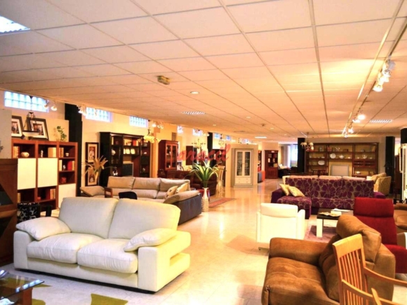 Nave Industrial en Coles