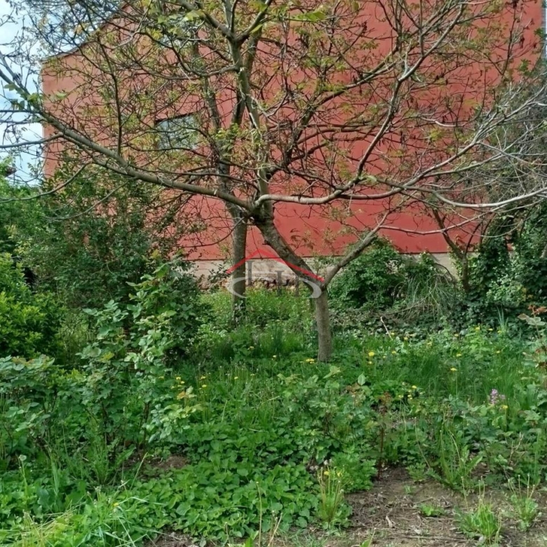 CASA PARA REFORMAR CON TERRENO EN CUADROS