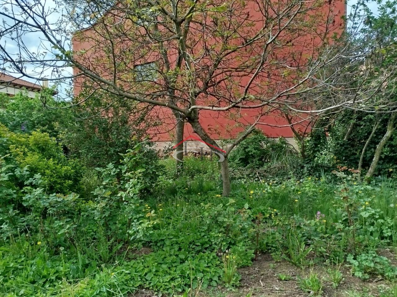 CASA PARA REFORMAR CON TERRENO EN CUADROS