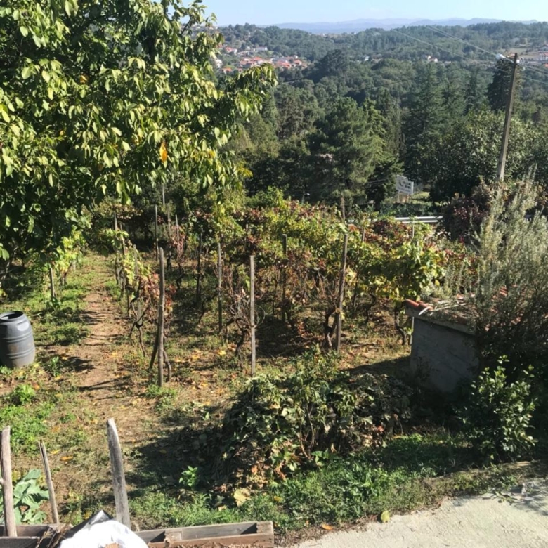 SE VENDE CASA EN CASTADÓN