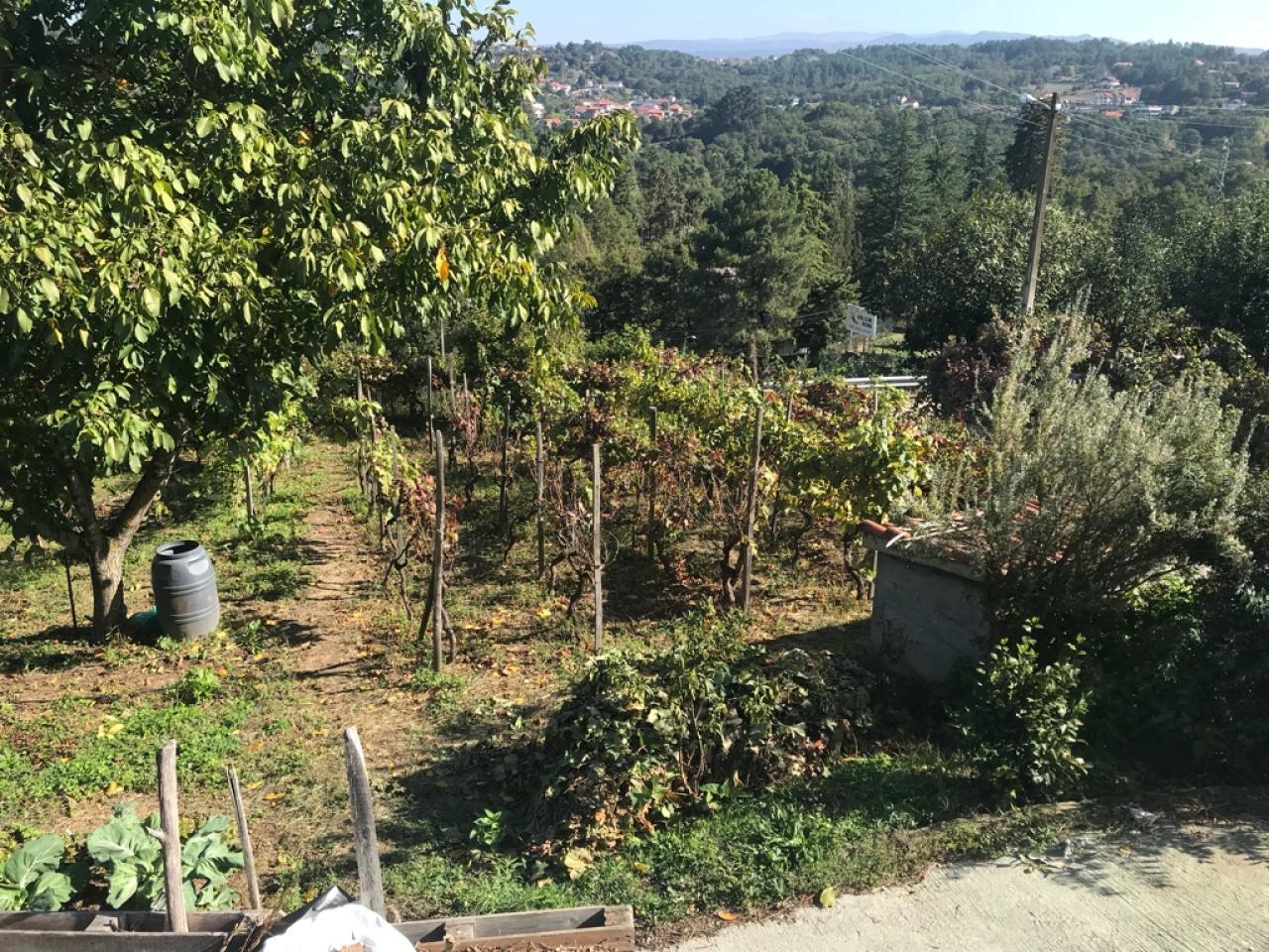 SE VENDE CASA EN CASTADÓN