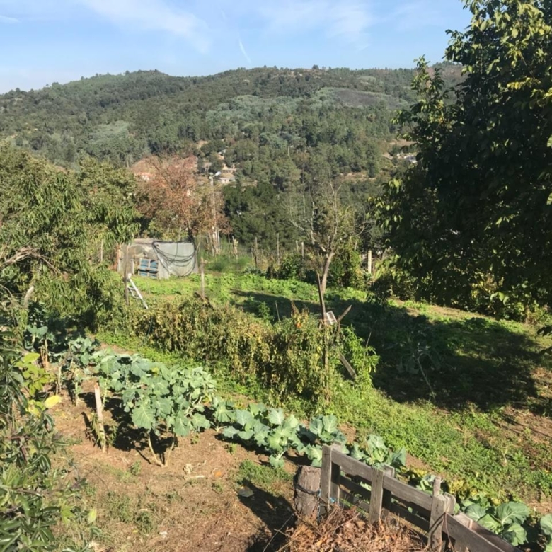 SE VENDE CASA EN CASTADÓN