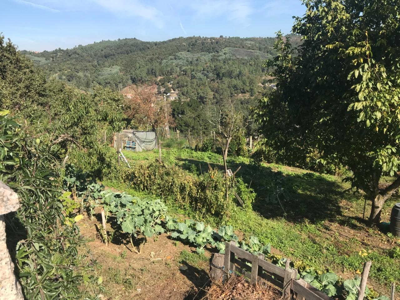 SE VENDE CASA EN CASTADÓN
