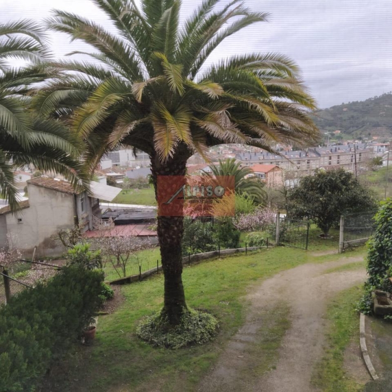 Local Comercial en Ourense