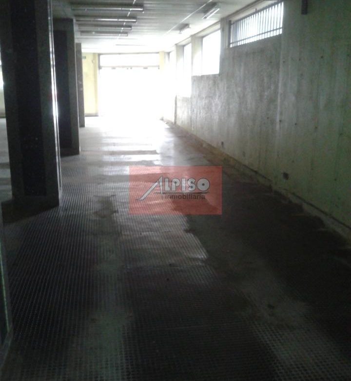 Alquiler local Avd. Zamora