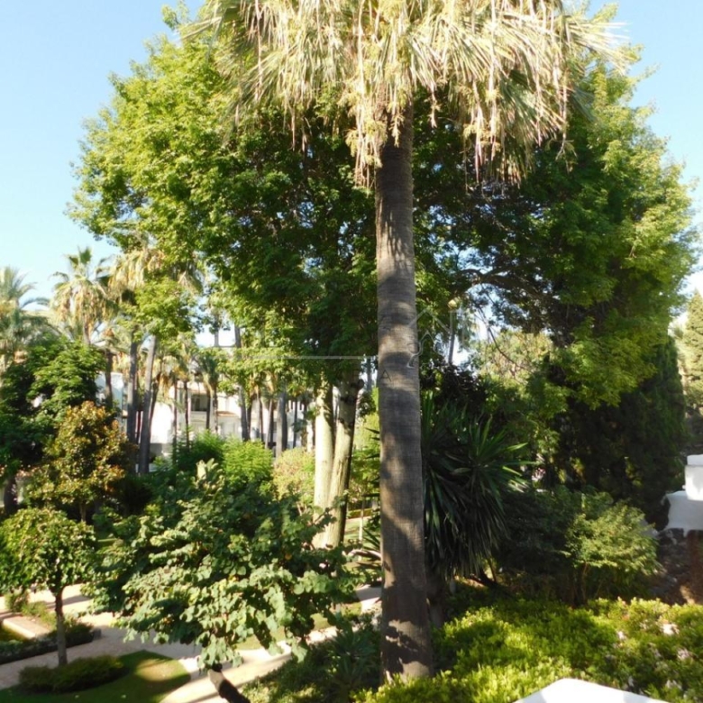 Apartamento en Puerto Banús