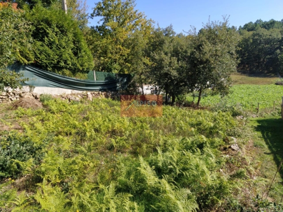 Parcela en Pereiro de Aguiar (O)