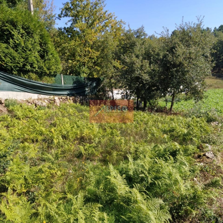Parcela en Pereiro de Aguiar (O)