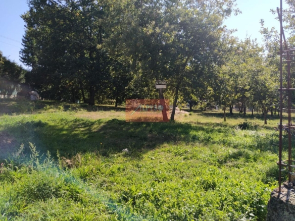 Parcela en Pereiro de Aguiar (O)