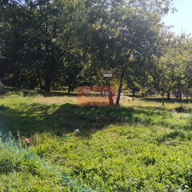 Parcela en Pereiro de Aguiar (O)