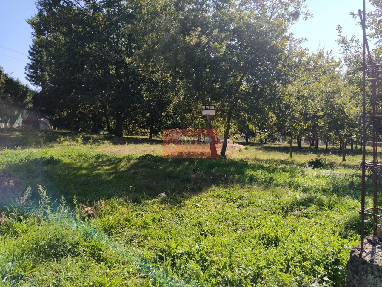 Parcela en Pereiro de Aguiar (O)