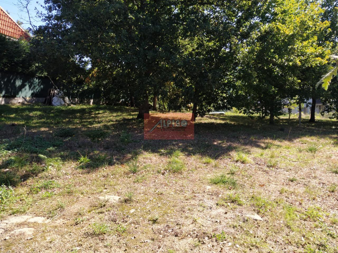 Parcela en Pereiro de Aguiar (O)