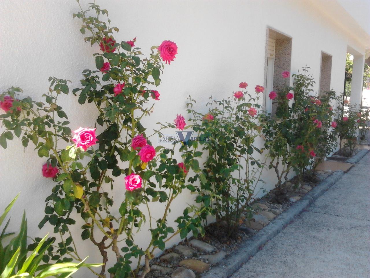 164422749000017159_15523203097 Casa en Toén