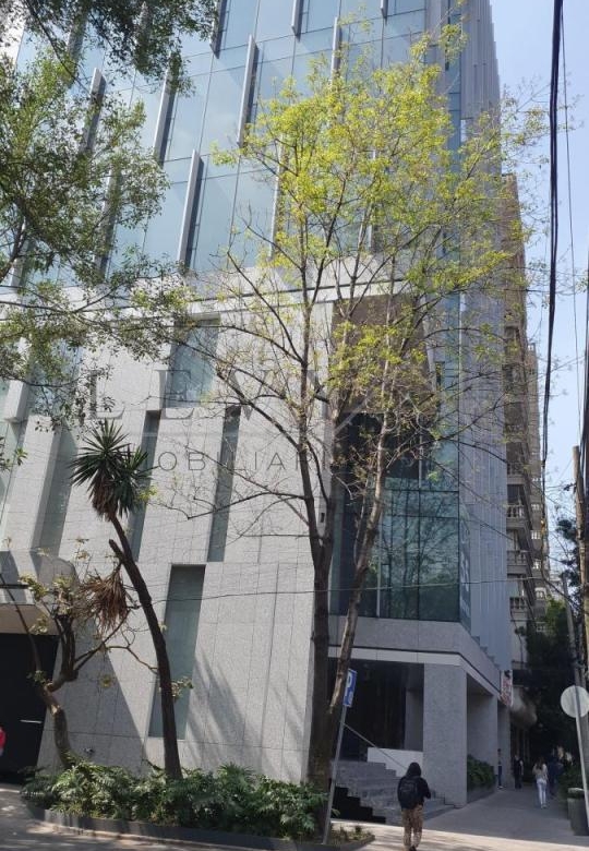 Edificio completo en polanco