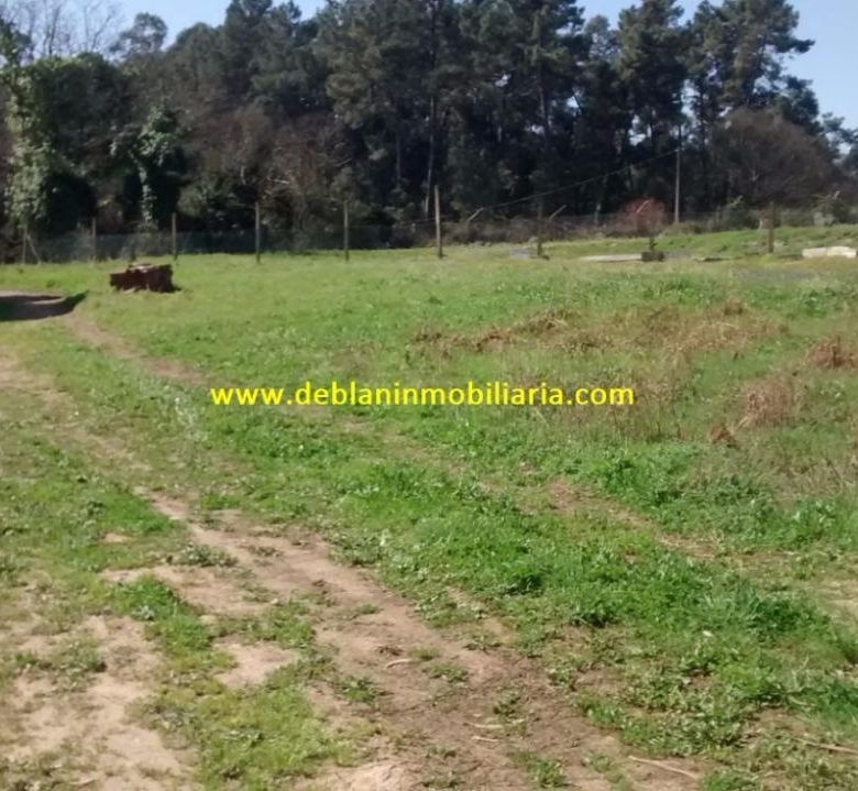 SE VENDE ESPECTACULAR CASA DE 478m2 EN SALVATIERRA