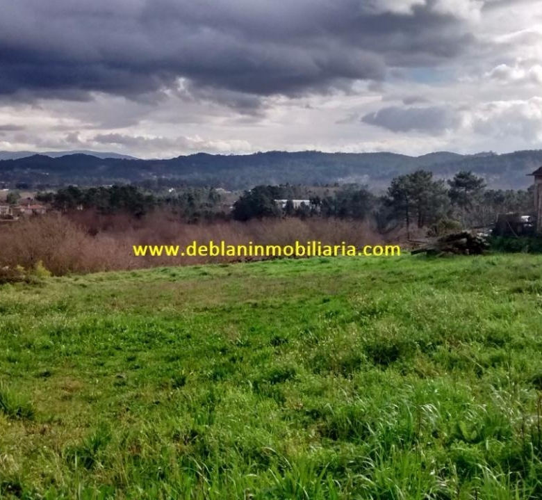 SE VENDE TERRENO EDIFICABLE DE 2.599m2, CON CASA DE PIEDRA PARA REHABILITAR EN TUI