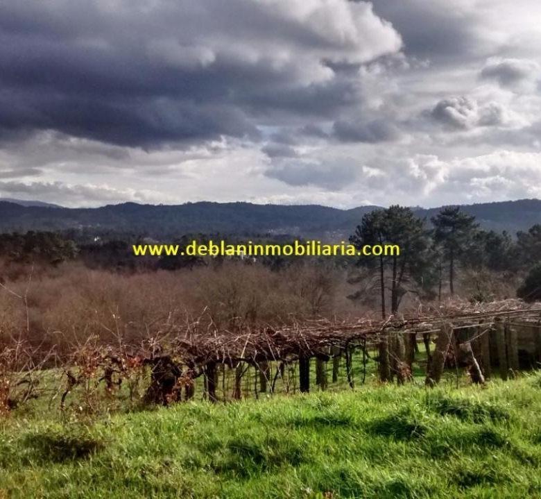 SE VENDE TERRENO EDIFICABLE DE 2.599m2, CON CASA DE PIEDRA PARA REHABILITAR EN TUI