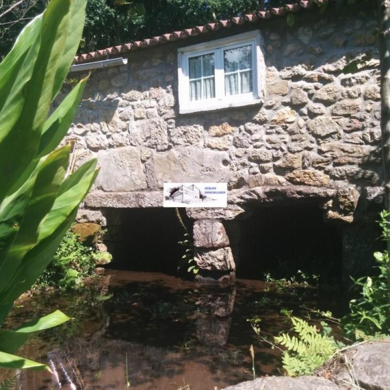 SE VENDE FINCA MOLINO DEL CENTENO DE 17.700 M2 CON MOLINO HABILITADO COMO VIVIENDA