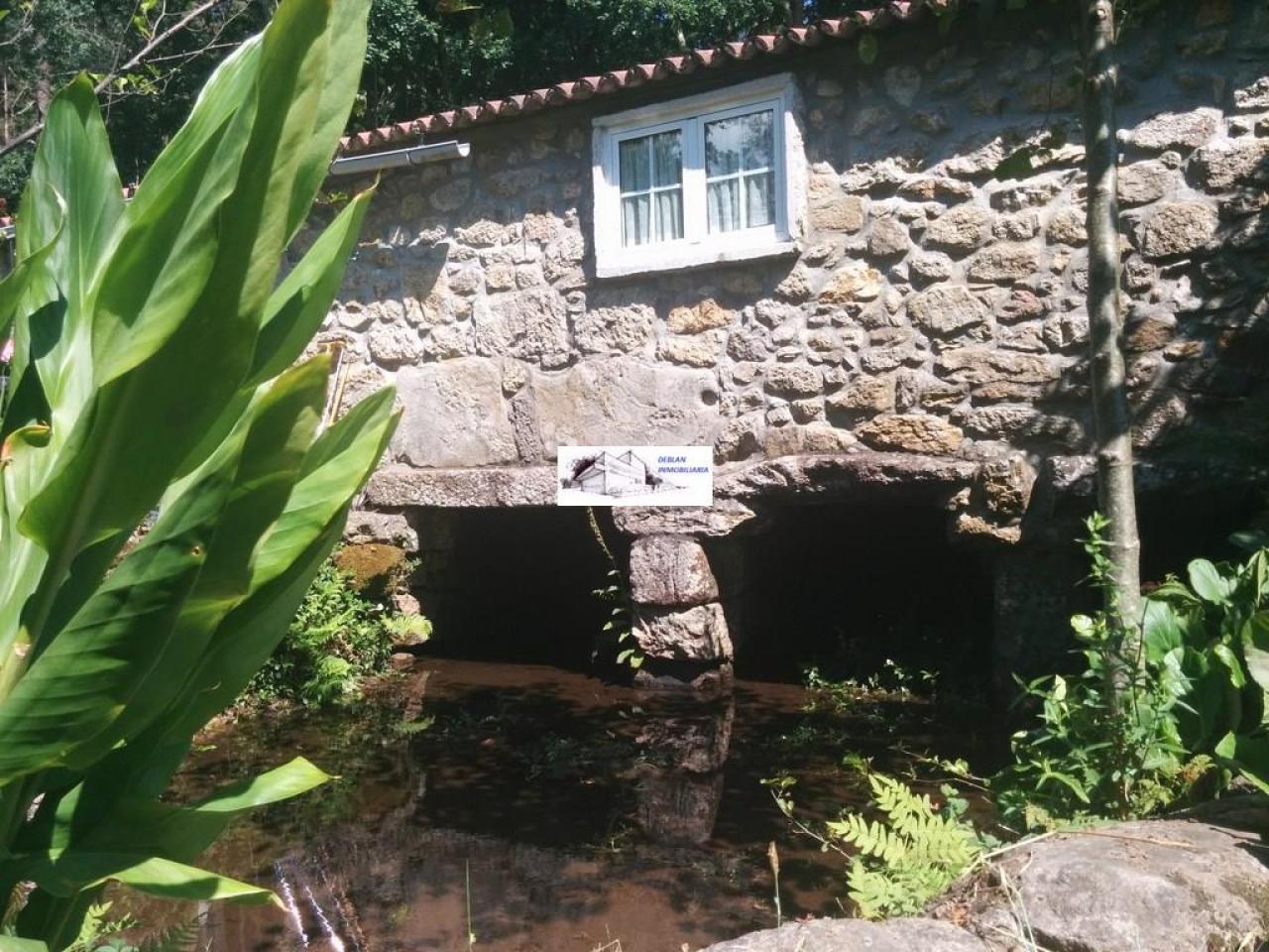 SE VENDE FINCA MOLINO DEL CENTENO DE 17.700 M2 CON MOLINO HABILITADO COMO VIVIENDA