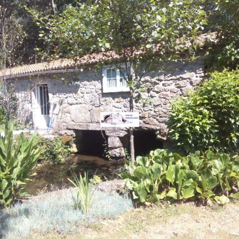 SE VENDE FINCA MOLINO DEL CENTENO DE 17.700 M2 CON MOLINO HABILITADO COMO VIVIENDA