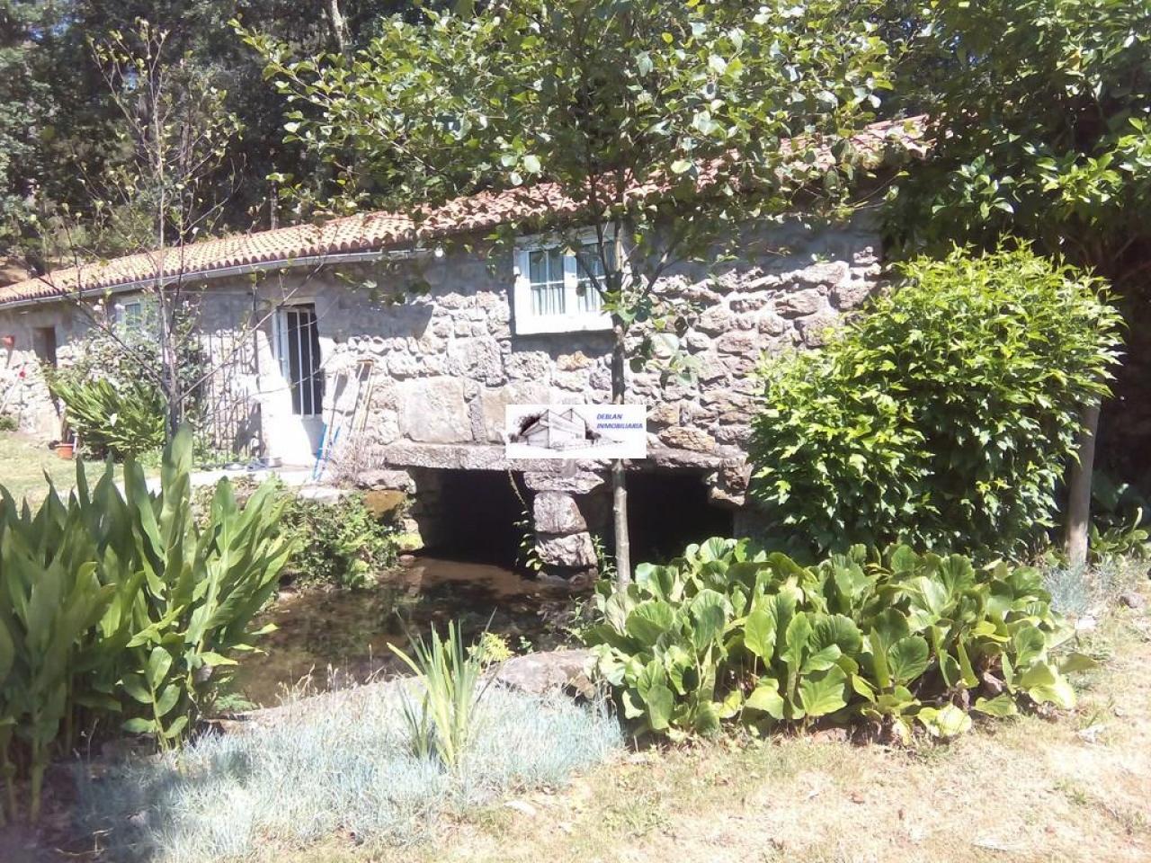 SE VENDE FINCA MOLINO DEL CENTENO DE 17.700 M2 CON MOLINO HABILITADO COMO VIVIENDA