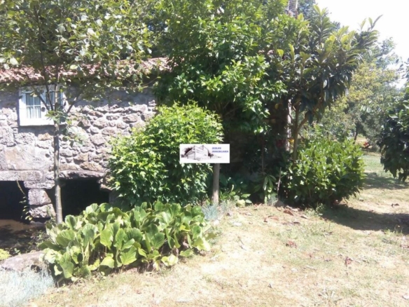 SE VENDE FINCA MOLINO DEL CENTENO DE 17.700 M2 CON MOLINO HABILITADO COMO VIVIENDA