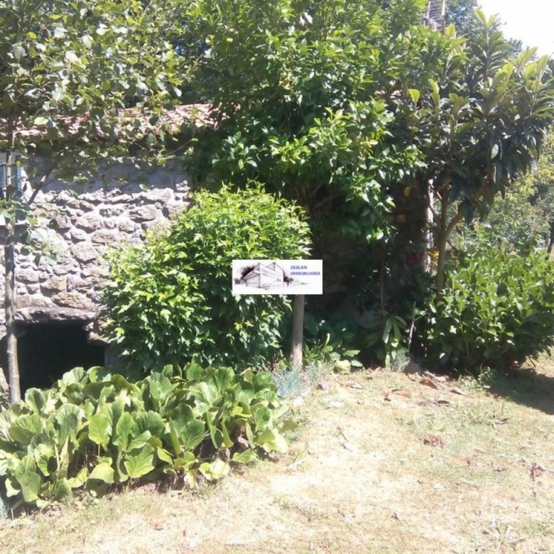 SE VENDE FINCA MOLINO DEL CENTENO DE 17.700 M2 CON MOLINO HABILITADO COMO VIVIENDA