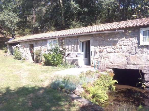 SE VENDE FINCA MOLINO DEL CENTENO DE 17.700 M2 CON MOLINO HABILITADO COMO VIVIENDA