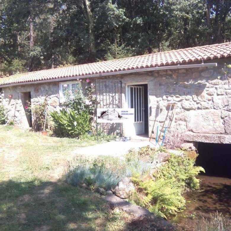 SE VENDE FINCA MOLINO DEL CENTENO DE 17.700 M2 CON MOLINO HABILITADO COMO VIVIENDA