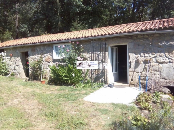 SE VENDE FINCA MOLINO DEL CENTENO DE 17.700 M2 CON MOLINO HABILITADO COMO VIVIENDA