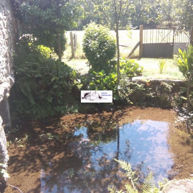 SE VENDE FINCA MOLINO DEL CENTENO DE 17.700 M2 CON MOLINO HABILITADO COMO VIVIENDA