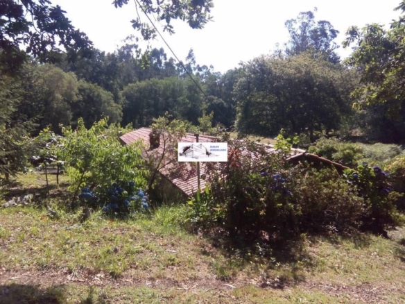 SE VENDE FINCA MOLINO DEL CENTENO DE 17.700 M2 CON MOLINO HABILITADO COMO VIVIENDA