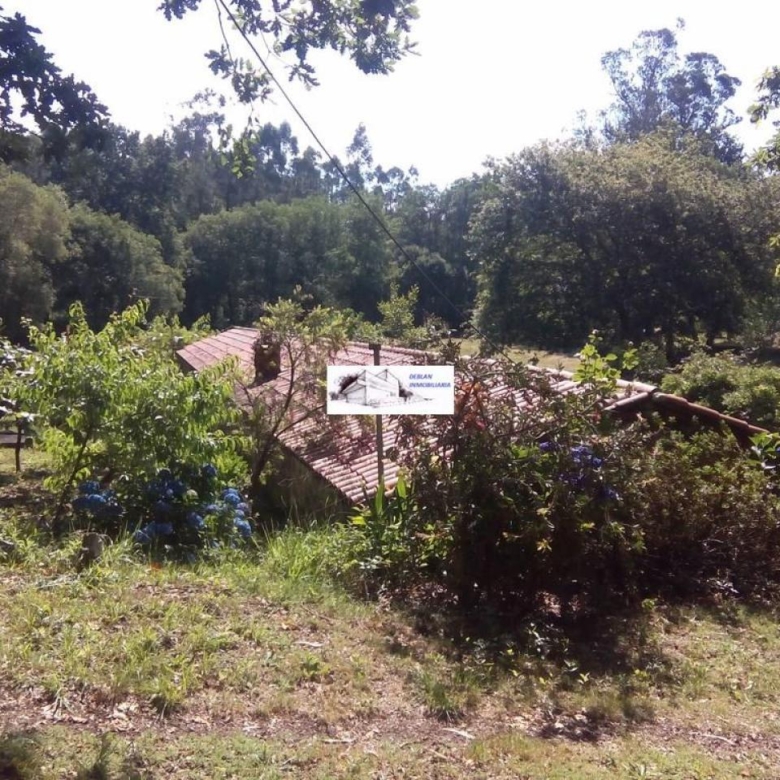 SE VENDE FINCA MOLINO DEL CENTENO DE 17.700 M2 CON MOLINO HABILITADO COMO VIVIENDA