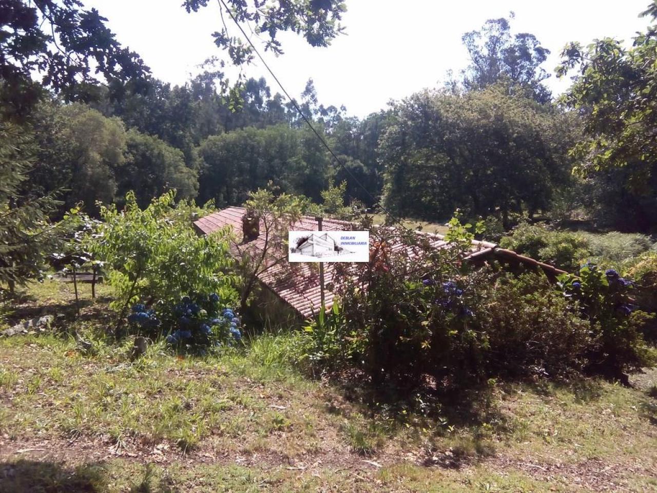 SE VENDE FINCA MOLINO DEL CENTENO DE 17.700 M2 CON MOLINO HABILITADO COMO VIVIENDA