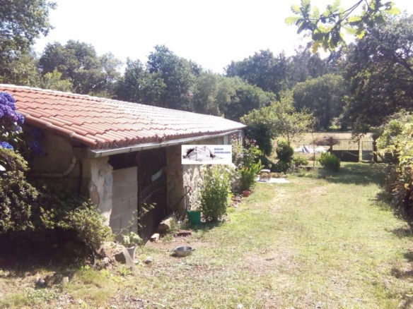 SE VENDE FINCA MOLINO DEL CENTENO DE 17.700 M2 CON MOLINO HABILITADO COMO VIVIENDA