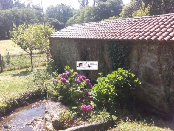 SE VENDE FINCA MOLINO DEL CENTENO DE 17.700 M2 CON MOLINO HABILITADO COMO VIVIENDA