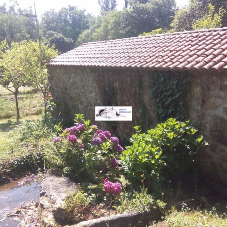SE VENDE FINCA MOLINO DEL CENTENO DE 17.700 M2 CON MOLINO HABILITADO COMO VIVIENDA