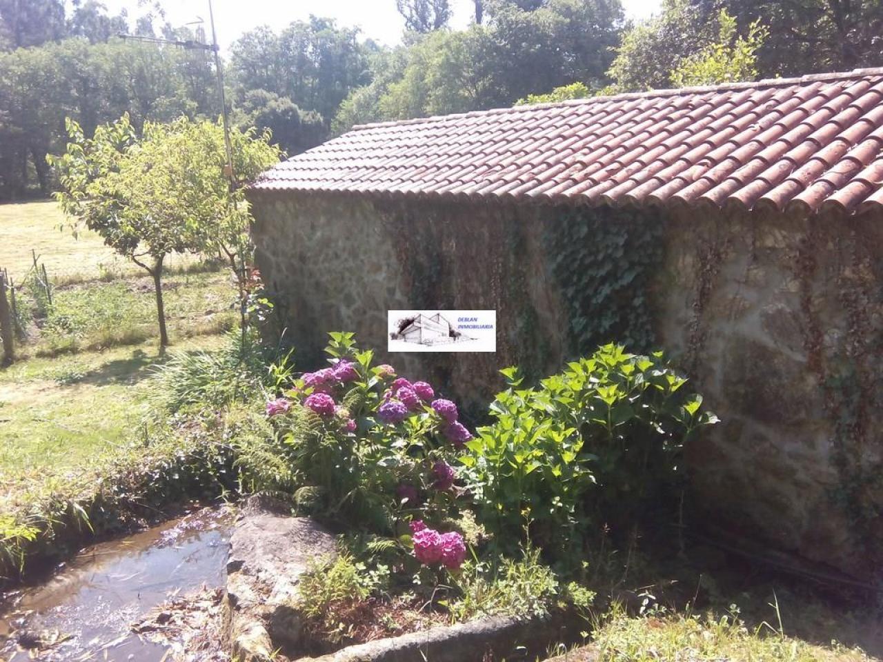SE VENDE FINCA MOLINO DEL CENTENO DE 17.700 M2 CON MOLINO HABILITADO COMO VIVIENDA