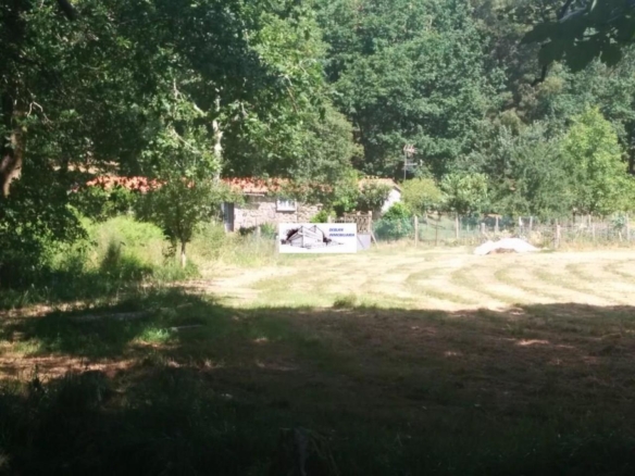 SE VENDE FINCA MOLINO DEL CENTENO DE 17.700 M2 CON MOLINO HABILITADO COMO VIVIENDA