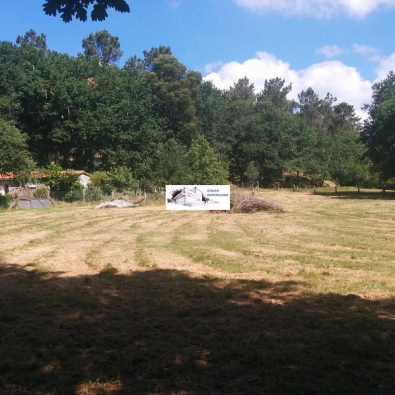 SE VENDE FINCA MOLINO DEL CENTENO DE 17.700 M2 CON MOLINO HABILITADO COMO VIVIENDA