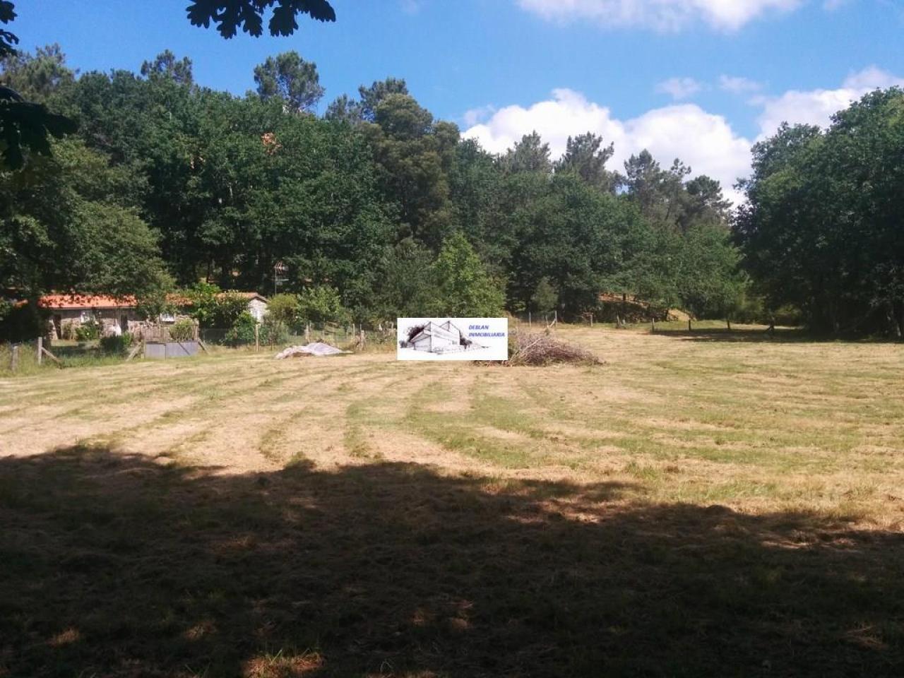 SE VENDE FINCA MOLINO DEL CENTENO DE 17.700 M2 CON MOLINO HABILITADO COMO VIVIENDA