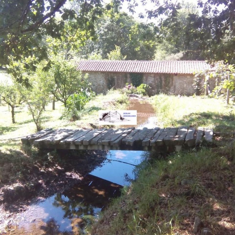 SE VENDE FINCA MOLINO DEL CENTENO DE 17.700 M2 CON MOLINO HABILITADO COMO VIVIENDA