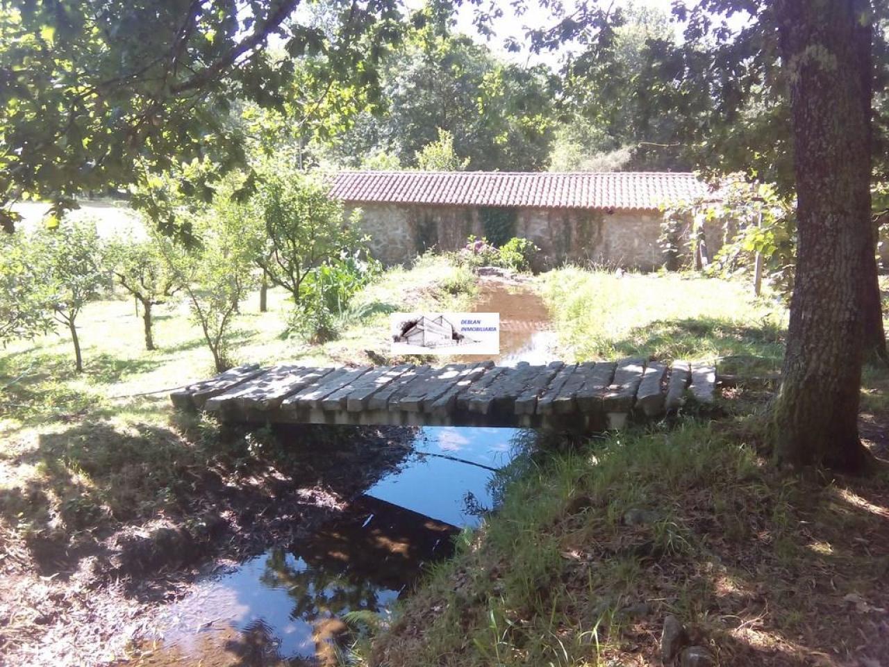 SE VENDE FINCA MOLINO DEL CENTENO DE 17.700 M2 CON MOLINO HABILITADO COMO VIVIENDA